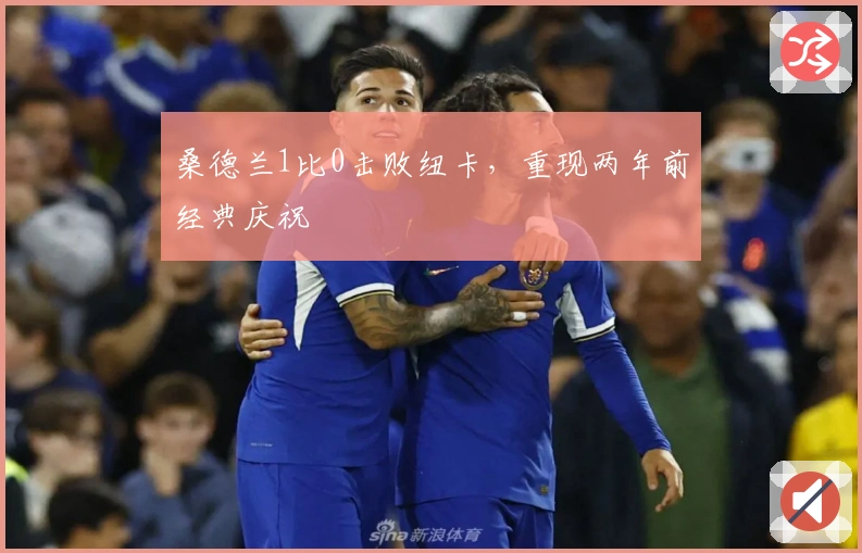 桑德兰1比0击败纽卡，重现两年前经典庆祝