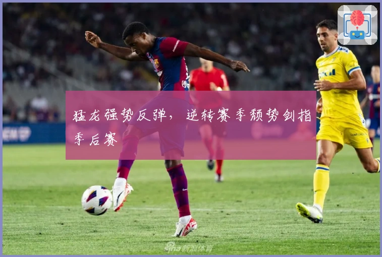 猛龙强势反弹，逆转赛季颓势剑指季后赛