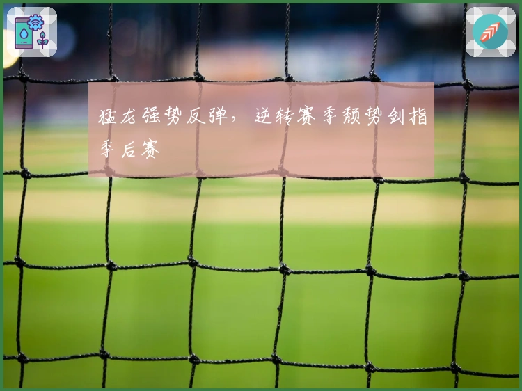 猛龙强势反弹，逆转赛季颓势剑指季后赛